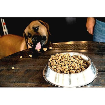 Alimento liofilizado para perros con sabor a pollo, bolsa de 12 oz