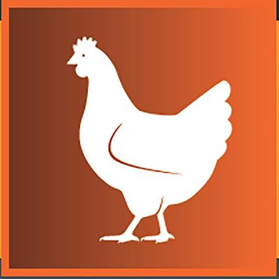 Zero/G Free Run Chicken Recipe Limited Ingredients Dry Dog Food, 4.4-lb bag