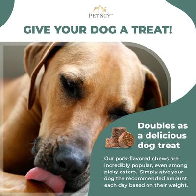 Itch Relief Pork Flavored Chew Supplement for Dogs, 30 count