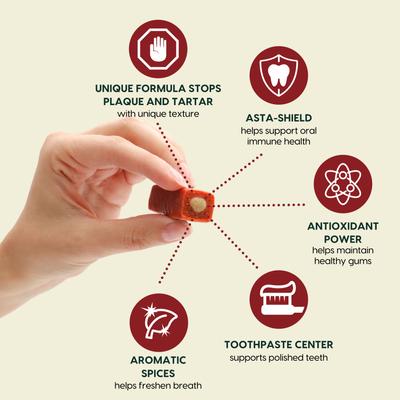 Protection+ Brushless Toothpaste Small Dental Dog Treats, 60 count