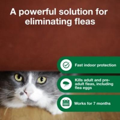 Household Fogger, 3-pack