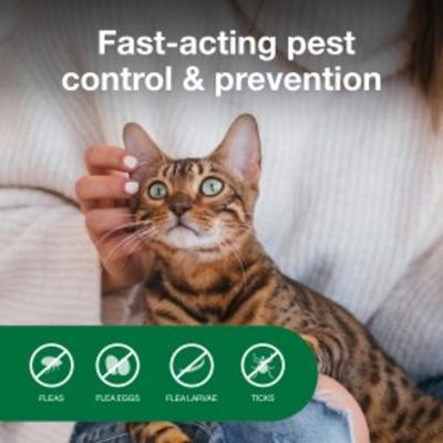 Household Fogger, 3-pack