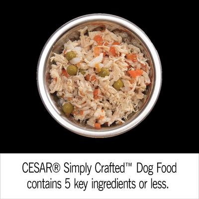Paquete: Paquete variado de alimento húmedo Cesar Simply Crafted Cuisine Complement + Alimento seco para perros con sabor a pollo rostizado y guarnición de verduras de primavera