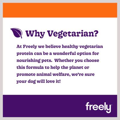 Vegetarian Recipe Limited Ingredient Grain-Free Wet Dog Food, 12.5-oz can, 6 count