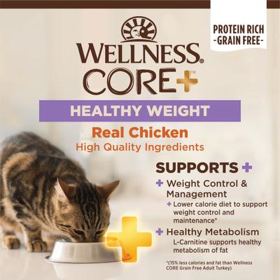 CORE+ Healthy Weight Poultry Natural High-Protein Dry Cat Food, 4.75-lb bag