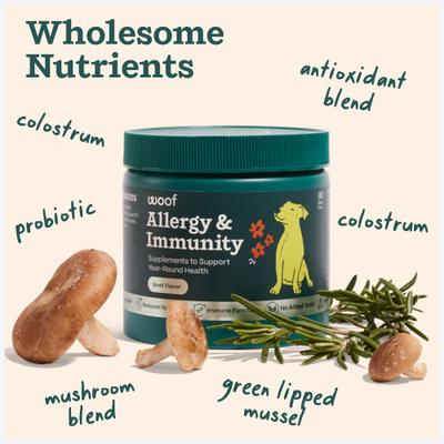 Allergy & Immunity Beef Flavored Chew Supplement for Dogs, 90 count