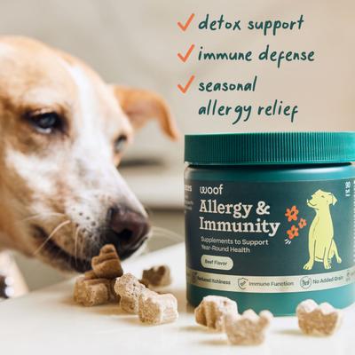 Allergy & Immunity Beef Flavored Chew Supplement for Dogs, 90 count