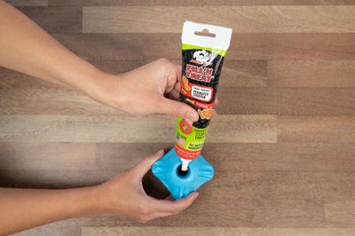 Fill'n Pumpkin Peanut Butter Dog Treat, 5-oz tube