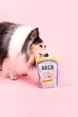 Arch Digestive Health Functional Soft & Chewy Treat Supplement for Dogs, 5-oz bag