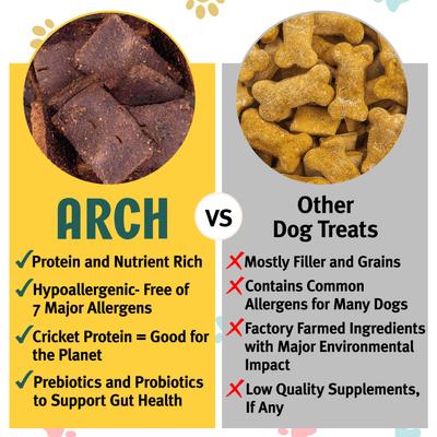 Arch Digestive Health Functional Soft & Chewy Treat Supplement for Dogs, 5-oz bag
