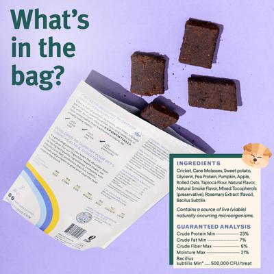 Arch Digestive Health Functional Soft & Chewy Treat Supplement for Dogs, 5-oz bag