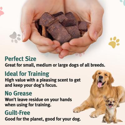 Arch Digestive Health Functional Soft & Chewy Treat Supplement for Dogs, 5-oz bag