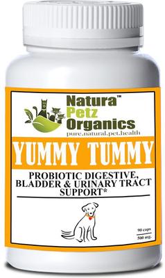 Yummy Tummy Dog Supplement, 90 count
