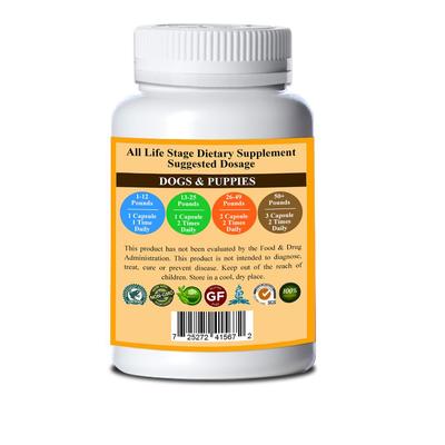 Yummy Tummy Dog Supplement, 90 count