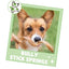 Palitos masticables para perros Spring Bully Sticks de 7 a 8 pulgadas, paquete de 6