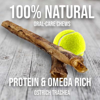 Crunchy Ostrich Trachea Whole Dog Treat, 1 count