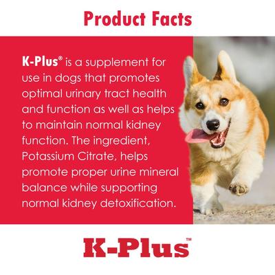 Potassium Gluconate Renal Gel Dog Urinary Supplement, 5-oz tube