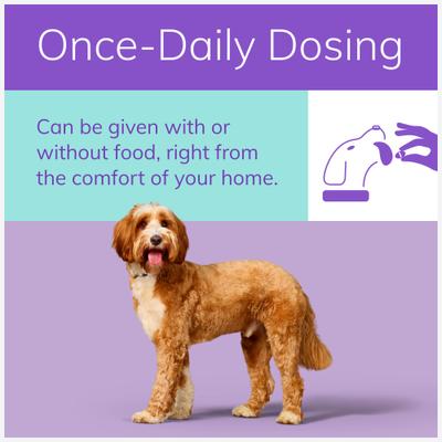 (ilunocitinib tablets) for Dogs, 15-mg, 90 tablets