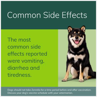 (ilunocitinib tablets) for Dogs, 15-mg, 90 tablets