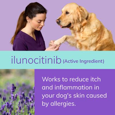 (ilunocitinib tablets) for Dogs, 15-mg, 90 tablets