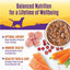 Turkey Stew with Barley & Carrots Canned Dog Food, 12.5-oz, case of 12