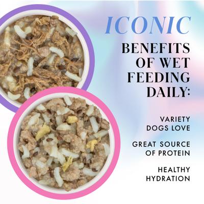 Variety Pack Non-GMO Beef & Duck Dinner Shredded Wet Dog Food, 2.75-oz cup, case of 10