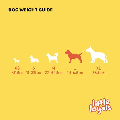 Masticable de madera de olivo premium para perros, grande