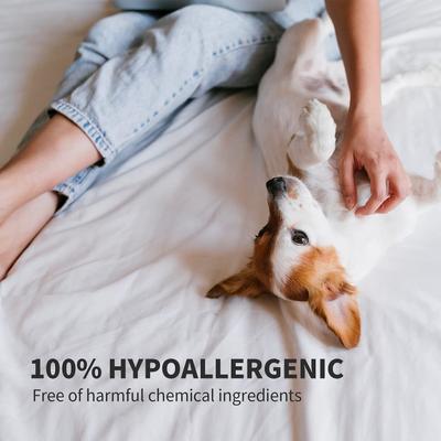 Unscented Natural Therapy Hypoallergenic Dog Shampoo, 10.1-fl oz bottle