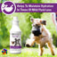 Pet-A-Lyte Oral Electrolyte Solution Dog & Cat Supplement, 32-oz bottle
