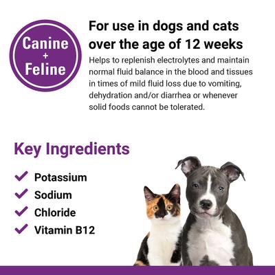 Pet-A-Lyte Oral Electrolyte Solution Dog & Cat Supplement, 32-oz bottle