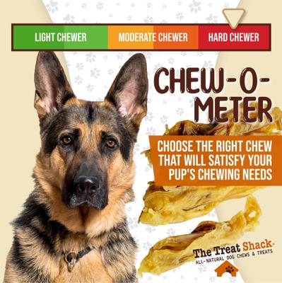 7 to 9-in Meaty Beef Tendon Sticks Natural Dog Chew Treats, Jumbo, 6 count