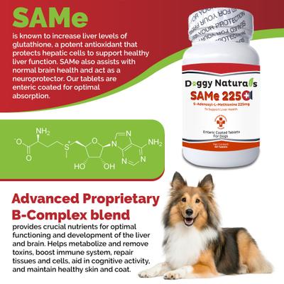 SAM-e 225-mg SAMeLQ Liver Support Dog Supplement, 60 count