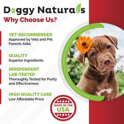 SAM-e 225-mg SAMeLQ Liver Support Dog Supplement, 60 count