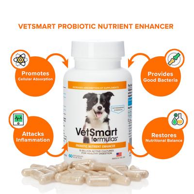 Probiotic Nutrient Enhancer Dog Supplement, 60 count, case of 3