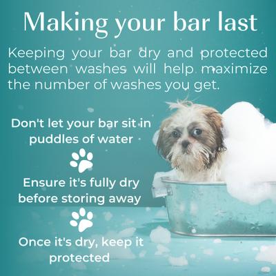 True Natural Solid Unscented Aloe & Oatmeal Dog Shampoo Bar