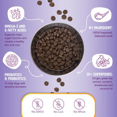 Lamb & Brown Rice Dry Dog Food, 15-lb bag