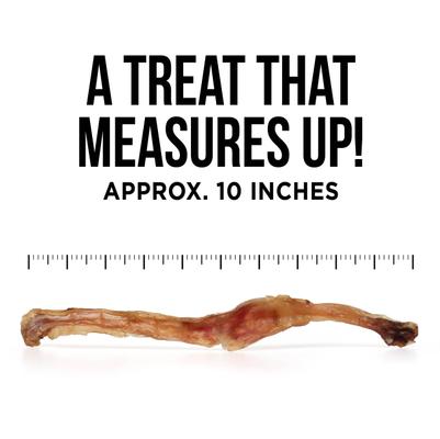 The Only Beef Tendon Chews Dogs Need Hard Chew Dog Treats, 10 count