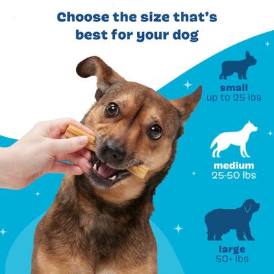 Bright Medium Chicken Flavored Dental Dog Treats, 30 count