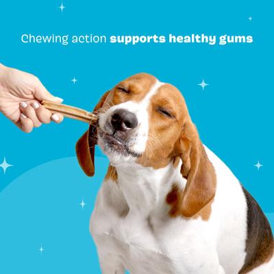 Bright Medium Chicken Flavored Dental Dog Treats, 30 count