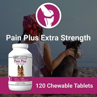 Pain Plus Extra Strength Chewable Tablets Dog Supplement, 120 count