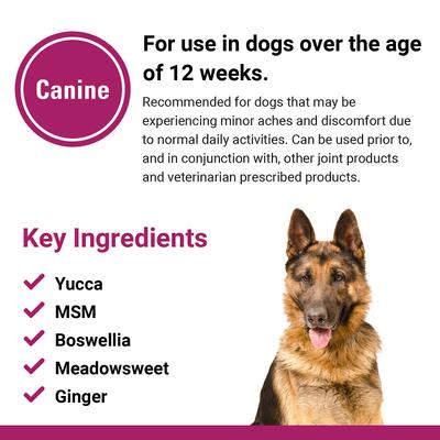 Pain Plus Extra Strength Chewable Tablets Dog Supplement, 120 count