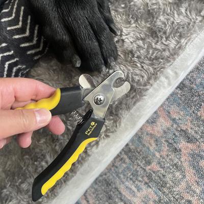 Extra Large Nail Clippers with Safety Guard for Dogs