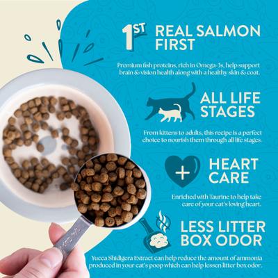 Wild Sea Catch Salmon & Vegetables Grain-Free Dry Cat Food, 12.5-lb