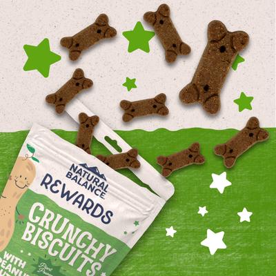 Rewards Peanut Butter Flavored Crunchy Biscuit Dog Treats, 14-oz bag
