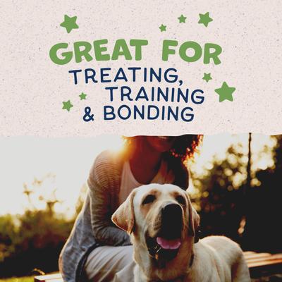 Rewards Peanut Butter Flavored Crunchy Biscuit Dog Treats, 14-oz bag