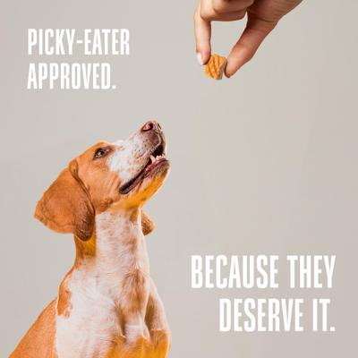 Just One Salmon Value Pack Freeze-Dried Dog & Cat Treats, 8-oz bag, case of 6