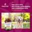 NaturVet, Moderate Joint Care Glucosamine DS Plus, glucosamina, MSM, condroitina y omegas para articulaciones de perros y gatos, tabletas y masticables