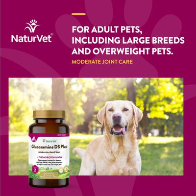 NaturVet, Moderate Joint Care Glucosamine DS Plus, glucosamina, MSM, condroitina y omegas para articulaciones de perros y gatos, tabletas y masticables