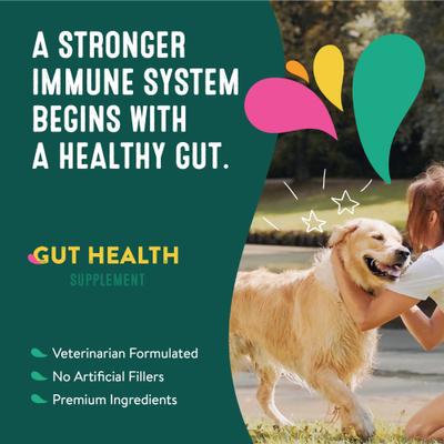 Gut Health Mini Breed 21 Scoop Supplement for Dogs