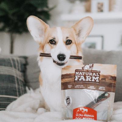 Beef Collagen Sticks Dog Treats, 6-in, 15 count